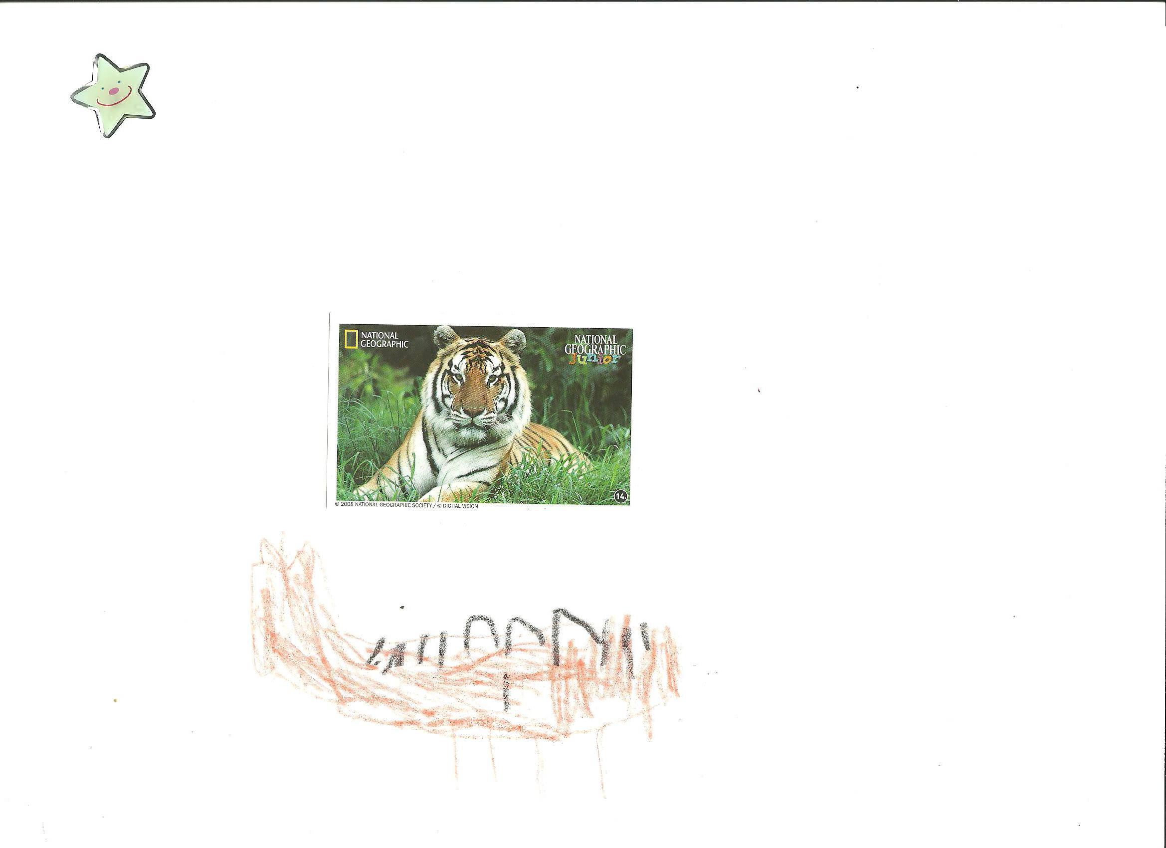 TIGER